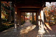 最勝寺の紅葉