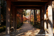 最勝寺の紅葉