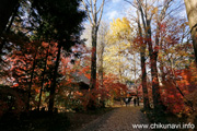 最勝寺の紅葉