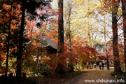 最勝寺の紅葉