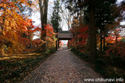 最勝寺の紅葉