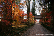 最勝寺の紅葉