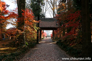 最勝寺の紅葉