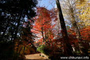 最勝寺の紅葉