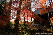 最勝寺の紅葉