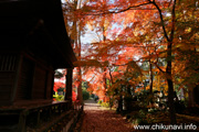 最勝寺の紅葉