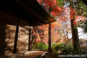 最勝寺の紅葉