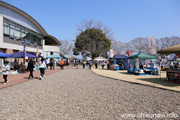 けんせい春フェス2025