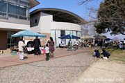 けんせい春フェス2025
