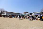 けんせい春フェス2025